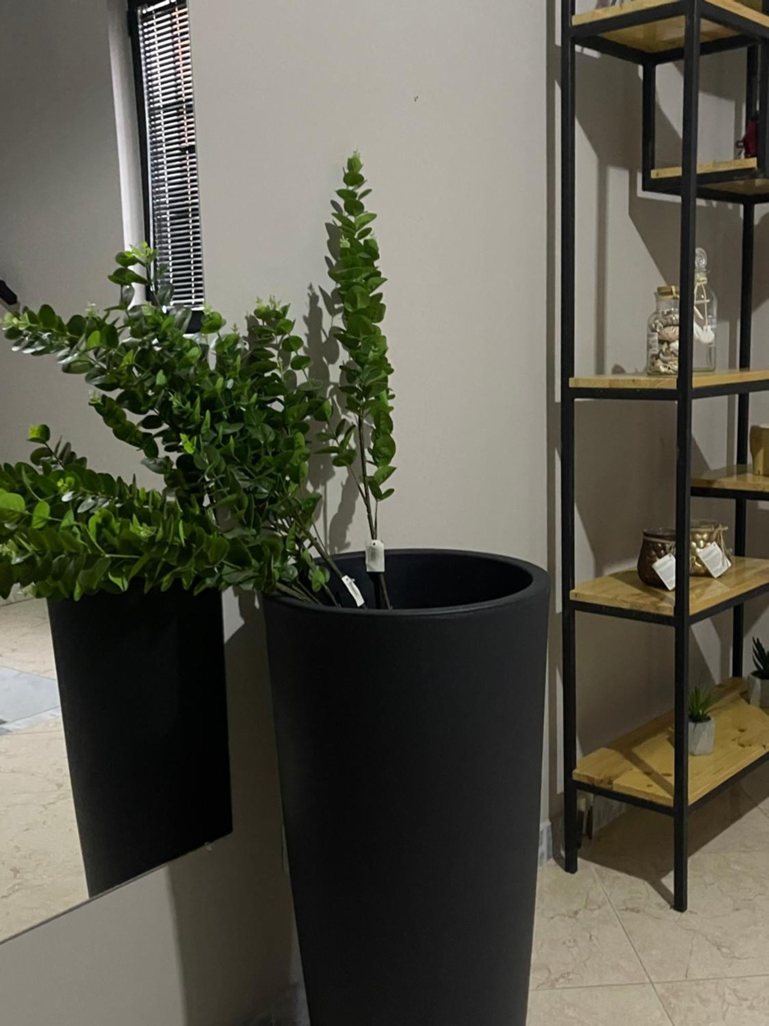 Ora Apartament Πόγραδετς Εξωτερικό φωτογραφία